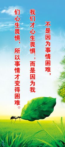 kaiyun官方网站:无敌小袋子图片(盒岛无敌小袋子)