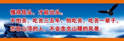长沙雨kaiyun官方网站花区代办营业执照(长沙岳麓区代办营业执照)